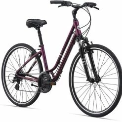 Giant Flourish FS 1 2021 -Aventon Shop 1Ox0M6 4vsrglrr6eC1lGGMx8