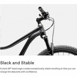 Cannondale 27.5/29 F Trail 5 2021 -Aventon Shop 3CzMJRcuxGi6xKgwPrnSbOb8k