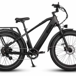 Dirwin Pioneer Fat Tire Electric Bike 2023