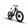 Eunorau DEFENDER-S 1500 Watt 9-Speed AWD E-bike 17" Black -Aventon Shop AjHeST47AmMJL6DCH 5GujOMM