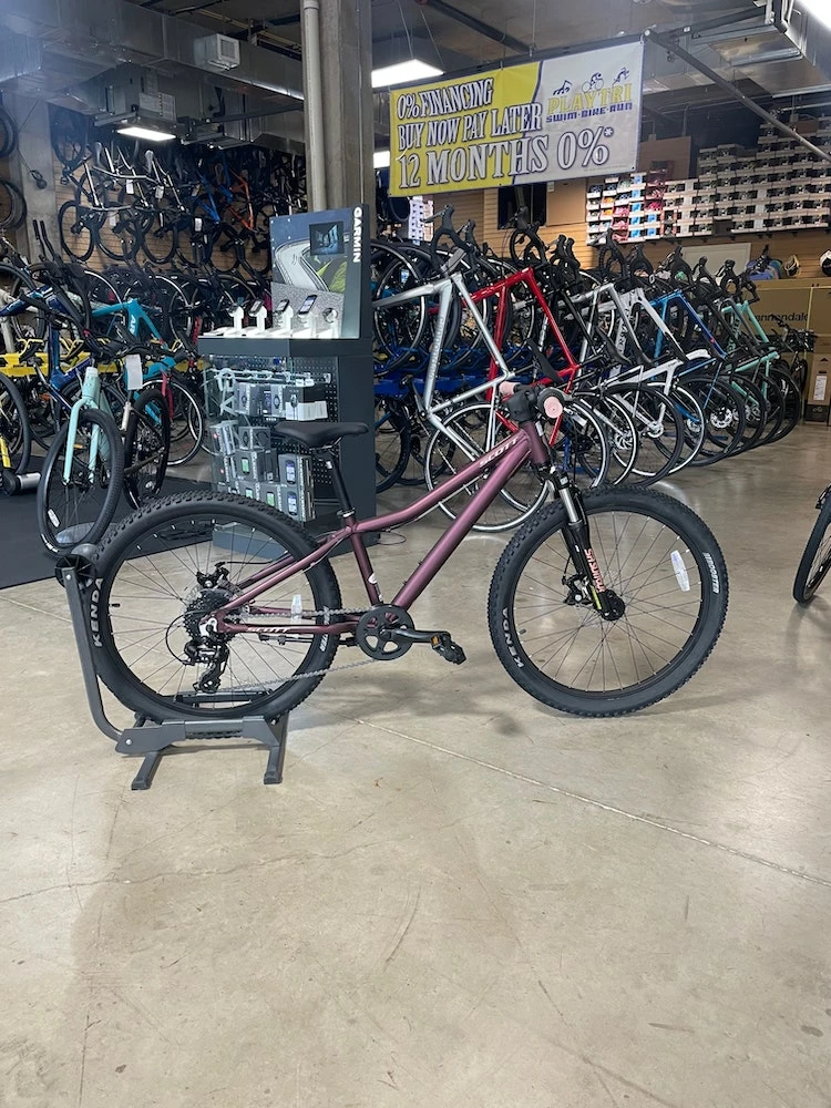 Scott Contessa 24' Purple Haze 3 Scott Contessa 24' Purple Haze