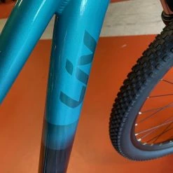 We Ship! Liv Tempt 29 4 - Teal 2021 -Aventon Shop D8XYkqBAwK43vMxK6EYFRSil4