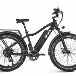Dirwin Seeker Fat Tire Electric Bike