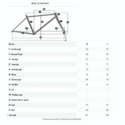Women's Comfort Bike, Head Strada Microshift Women's 700c 16 Women's Comfort Bike, Head Strada Microshift Women's 700c -Aventon Shop GHBdnqmBKqivtFVlMIdUnBIGk