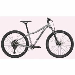 Cannondale 27.5/29 F Trail 5 2021