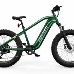 Other HOVSCO™ HovAlpha 26" Electric Fat Bike 2022