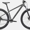 Specialized Rockhopper 29 2022