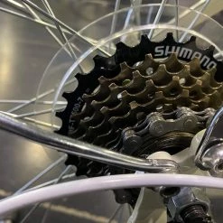 Retrospec Beaumont 7-Speed Step-Thru City Bike - Eggshell 2022 -Aventon Shop U5Wmg1xyjWh1ojxeSIlSyeM38 2