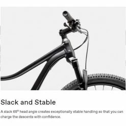 Cannondale 27.5/29 F Trail 5 2021 -Aventon Shop U Ct6p4byuGxr8LdYqJT7Fd9g