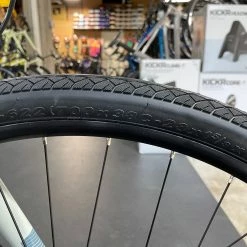 Fuji Absolute 1.7 Cement 2022 -Aventon Shop pyQnYI836uxQemJb0BNwm8t5Q