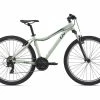 Giant Bliss 26 2021 -Aventon Shop rMEMI dmwPW8CUXgvi4Mft48c 6