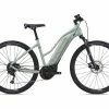 Giant Rove E+ 20MPH 2021