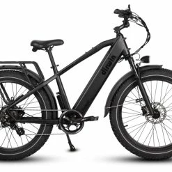 Dirwin Pioneer Fat Tire Electric Bike